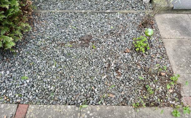 A gravel area with scattered small stones and patches of greenery, bordered by brick and stone pavement.