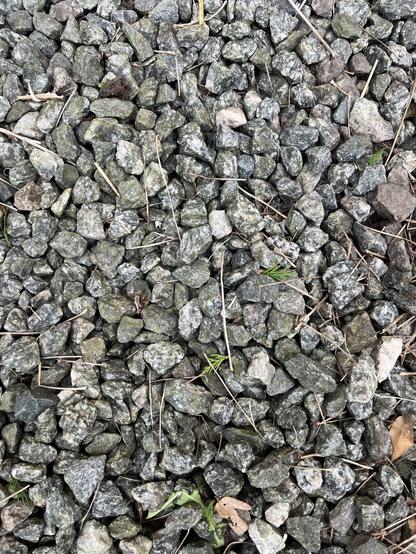 A close-up view of small, irregularly shaped gray and green stones, mixed with a few brown leaves and thin twigs scattered throughout.