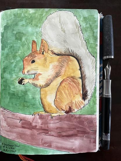 Sketch in sketchbook of a squirrel sitting on a branch holding something small