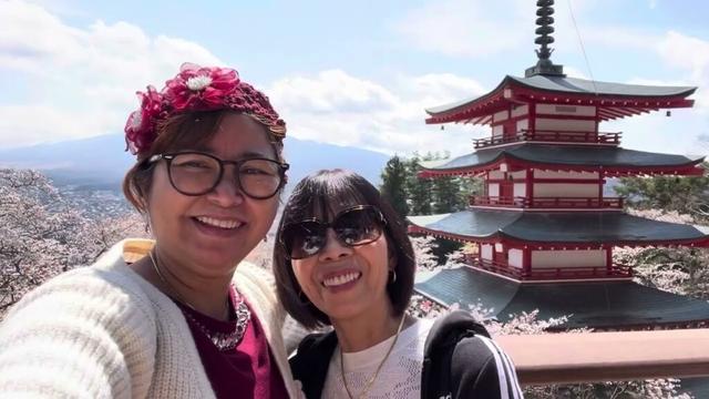 Cherry blossom at Chureito Pagoda 2025 #cherryblossom #mountfuji