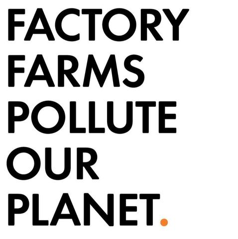 Capital black letters on white background with an orange sentence stop. 

Factory farms pollute our planet.