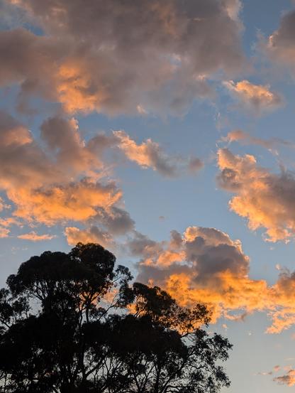A scenic view of a sky with vibrant orange and pink clouds at sunrise, contrasted against the silhouette of trees in the foreground.