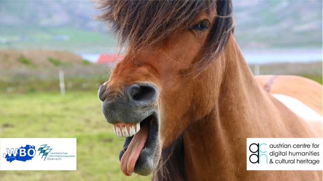 Auf diesem Bild sieht man ein braunes Pferd auf einer grünen Wiese. Das Pferd hat eine kräftige Mähne, die schräg über eines seiner Augen fällt und ihm ein wildes, freches Aussehen verleiht.
Das Pferd hat das Maul weit aufgerissen, zeigt seine großen, hellen Zähne und streckt die Zunge seitlich heraus. Es wirkt, als würde es laut lachen, gähnen oder eine Grimasse schneiden.
