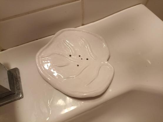 a soap dish shaped like a big circly leaf