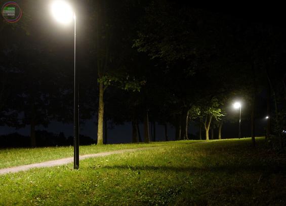 Park mit Wiese, Bäumen und beleuchtetem leicht ansteigenden Fußweg bei Nacht