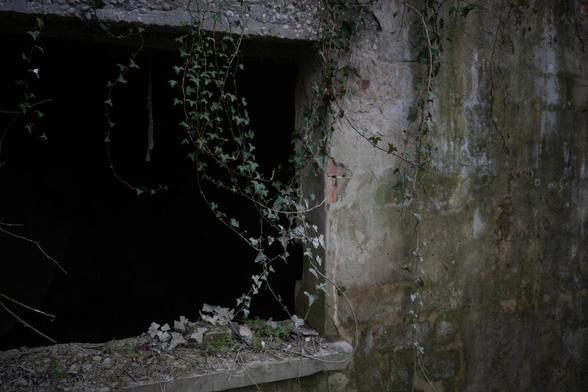 a window of an abandoned little building with ivy partially covered in river clay growing on ii