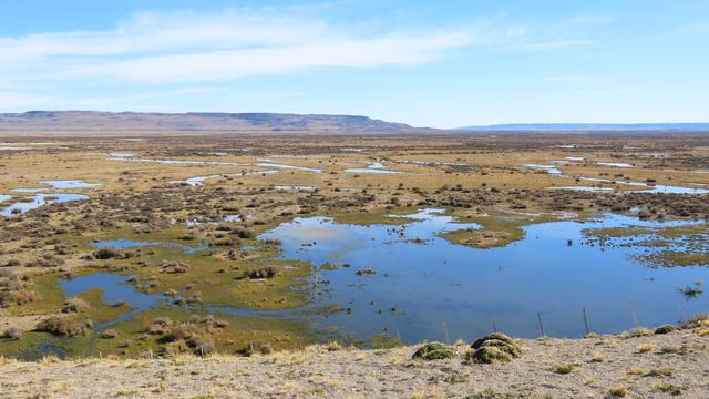 Die Estancia liegt mitten im Feuchtgebiet.