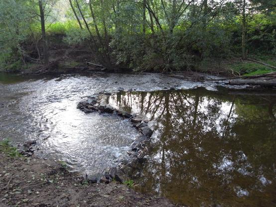 A small dam made of very small boulders and large stones was built in a stream. In the background, green trees, some of which are reflected, and a meadow can be seen.