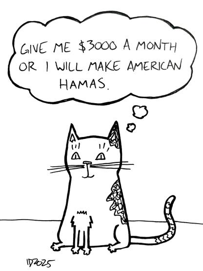 a cat with squiggly spots sits and thinks "give me $3000 a month or i will make american hamas."