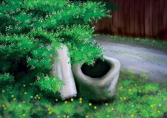 An old granite boulder hollowed out as a well, fed through an invisible pipe through a large green shrub. In front, a gravel road full of dandelions and in the back, the wooden wall of an old barn.