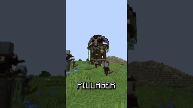 Minecraft, But I Become a PILLAGER...