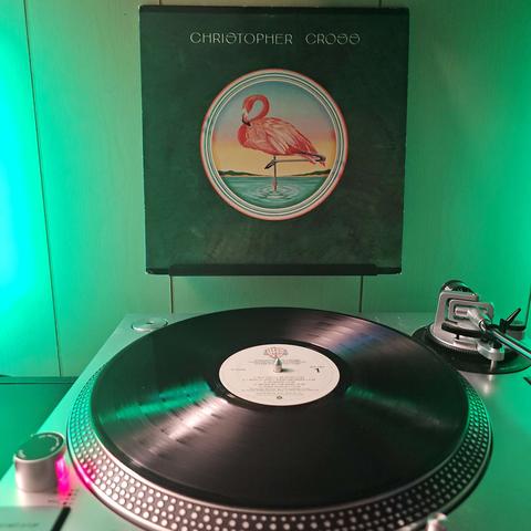 A vinyl record sits on a turntable. Behind the turntable, a vinyl album outer sleeve is displayed. The front cover shows a painting of a flamingo standing in water.