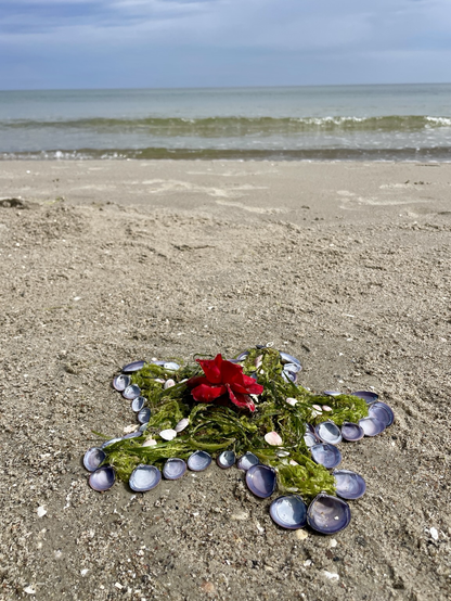 Ein Stern aus Muscheln und Seegras am Strand, im Hintergrund Ostsee und leicht beklagter Himmel.