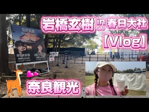 【Vlog】岩橋玄樹×世界遺産スペシャルパフォーマンスin春日大社参戦してきた！しっかり奈良観光も🦌