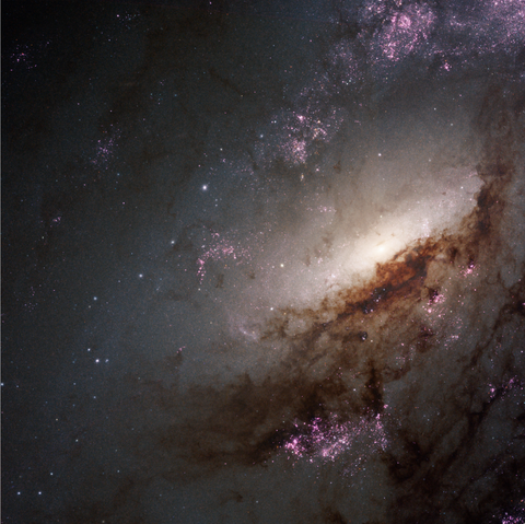 A portion of a large galaxy takes up the frame and is cut off at all edges, with the largest cuts at top and right. At center-right is the galaxy’s bright white oval core, which is seen at an angle. There is a dark brown dust lane that starts at lower left and ends in an arc toward the top right. Beyond that are light purple speckles, which are clusters of stars, that take a rough halo shape. The light from the core extends just beyond the first “halo” of purple stars. Toward the top and left edges are smaller, finer purple stars scattered in a few places, but a lot less structure overall. The background of space is black.
