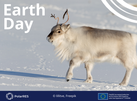 Visual of reindeer with caption 'Earth Day'