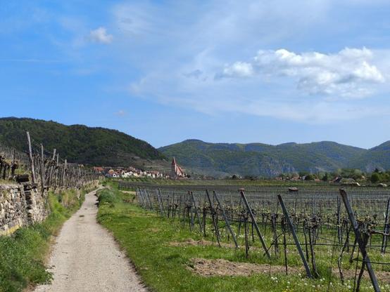Ein Güterweg führt auf der linken Seite durch Weingärten. Im Hintergrund sieht man eine Ortschaft mit markantem Kirchturm. Dahinter bewaldete Hügel, blauer Himmel darüber.