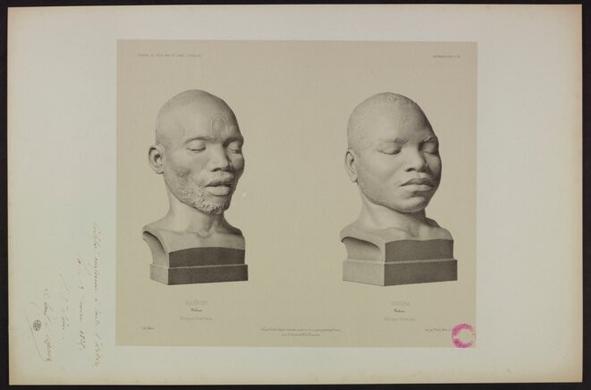 Crânes+et+bustes+moulés+conservés+au+Musée+de+l'Homme+sont+réclamés+par+des+associations+et+des+élus+de+l'océan+Indien.+©+Collections+Muséum+national+d’Histoire+naturelle,+EST+VOY+3+(156)