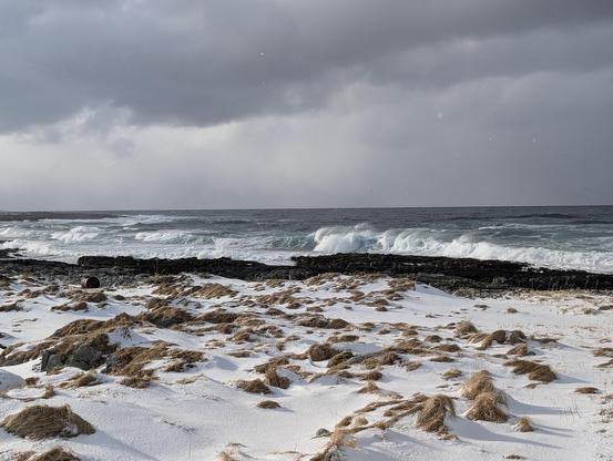 Waves crashing to a snowy rocky coast