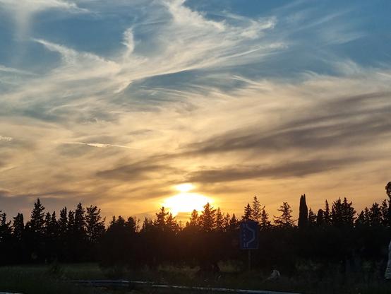 Il sole al tramonto sembra una navicella spaziale che cerca di atterrare e nascondersi dietro gli alberi