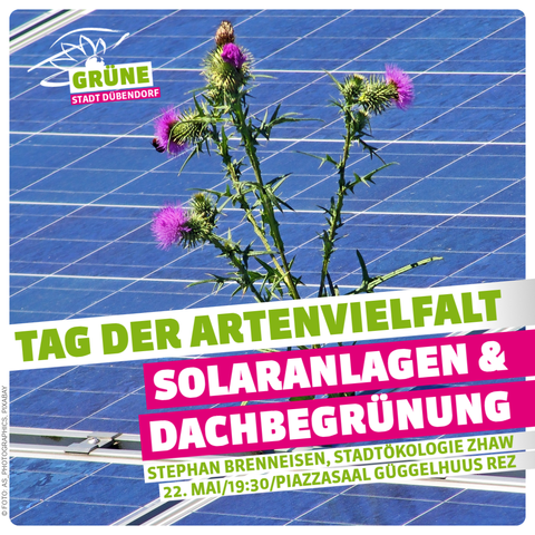 Tag der Artenvielfalt: Solaranlagen und Dachbegrünung. 22. Mai 19:30 Güggelhuus Reformiertes Kirchgemeindezentrum Dübendorf