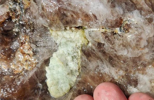 An ovali-ish pale green mineral grain sits in wet translucent grey-brown quartz. At the bottom right three fingertips can be seen, giving a sense of scale.