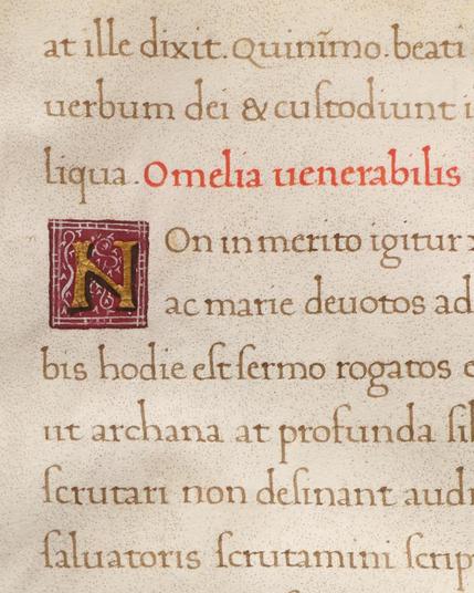 Close-up of the previous image.