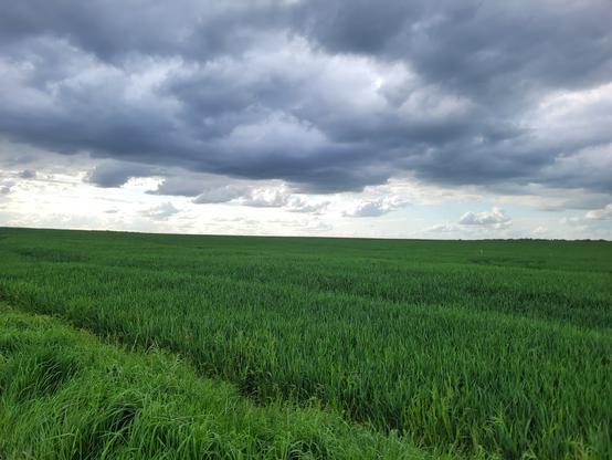 Ciel menaçant en plaine verdoyante