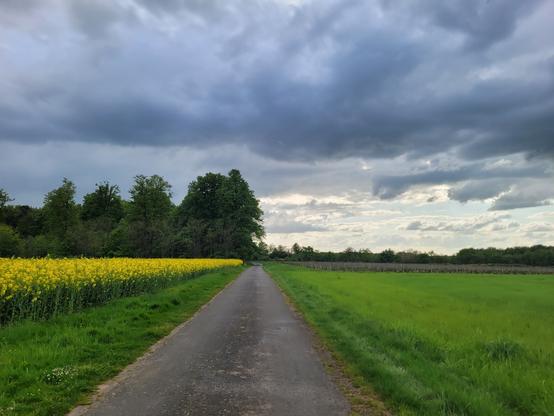 Ciel chargé, petite route passant à travers champs