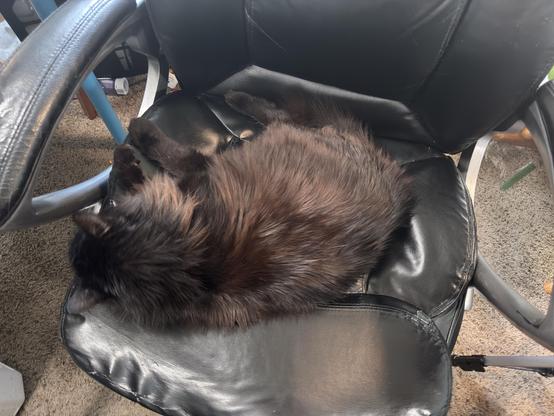 A black cat is curled up and sleeping on a black office chair.