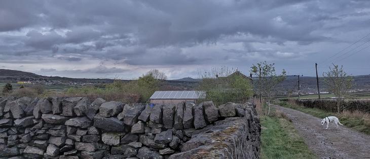 A lane and dry stone walls in the foreground.   A dog potters on the lane.  Barns and a farmhouse are partially hidden by some willow trees.  A hill rises above the far horizon.  A tower sits atop the hill.