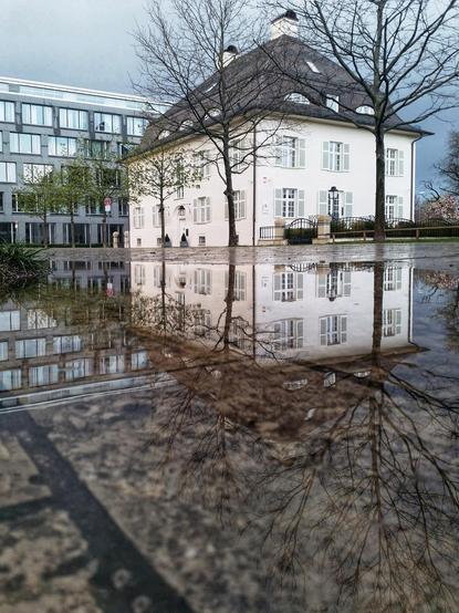 Das Bild zeigt ein helles Gebäude mit weißen Wänden und einem dunklen Dach, das sich in einer großen Wasserpfütze spiegelt, die den Vordergrund des Bildes einnimmt. Das Gebäude hat viele rechteckige Fenster und ist von einigen Bäumen umgeben, deren Formen ebenfalls in der Spiegelung sichtbar sind. Im Hintergrund sieht man ein modernes Gebäude mit Glasfenstern, das eine kontrastierende Architektur zum Hauptgebäude darstellt.