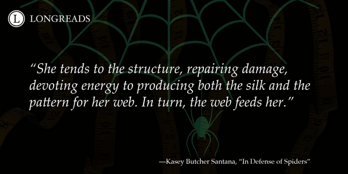 "She tends to the structure, repairing damage, devoting energy to producing both the silk and the pattern for her web. In turn, the web feeds her."
Tagline: —Kasey Butcher Santana, "In Defense of Spiders"
A logo in the top right reads “Longreads”