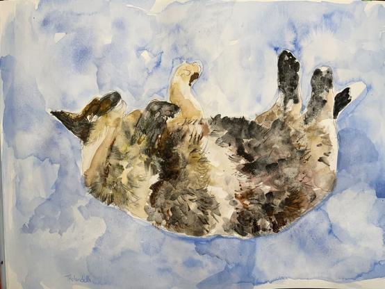 A mottled tortie Siamese cat with polydactyl paws, sleeping, depicted floating in the sky with blue and slight clouds.