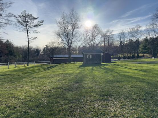 photo: landscape with bright green grass in foreground, some outbuildings in the middle and trees brushing a bright blue sunlit sky.