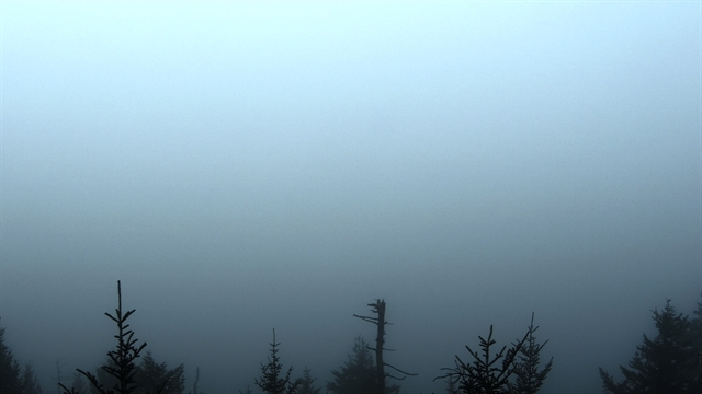 Clingmans Dome, Smoky Mountains National Park