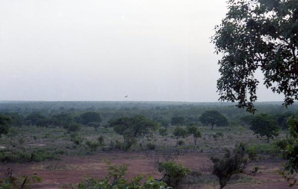 Green landscape with a tree in the foreground, right side.