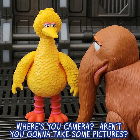 Big Bird to Snuffy: Where's your camera?  Aren't you gonna take some pictures?