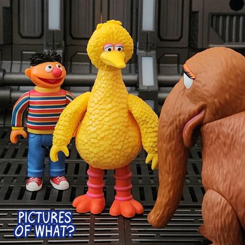 Ernie, from behind Big Bird: Pictures of what?