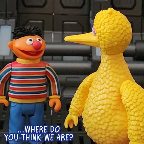 Ernie to Big Bird: ...where do you think we are?