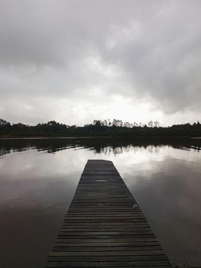 Un largo muelle de madera oscuro se extiende desde la parte inferior del encuadre hacia el centro de un lago tranquilo. El agua es oscura y refleja el cielo y la línea de árboles al fondo. El cielo está nublado, de un tono gris uniforme. En la distancia, una línea ininterrumpida de árboles de color verde oscuro se extiende a lo largo del horizonte. La escena es serena y tranquila, con un ambiente sombrío.