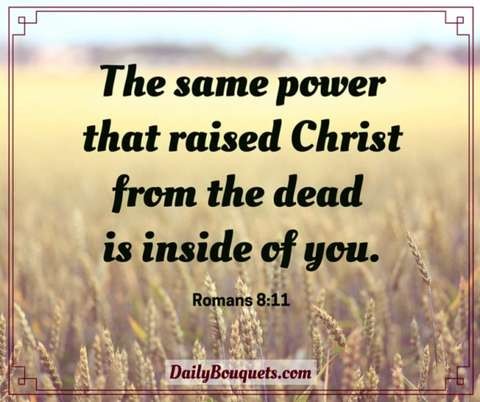 The same power that raised Christ from the dead is inside of you. Romans 8:11

Background is a wheat field, blurred; text is black