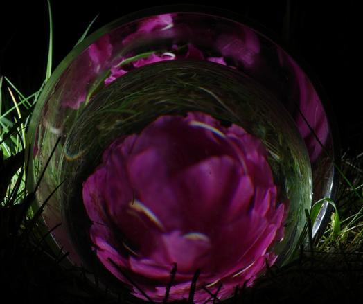 A pink rhododendron umbel in a glass cylinder without bases on a meadow.
A sphere with a slightly smaller diameter was placed in front of it, causing a distorted point reflection of the umbel and the meadow. The umbel is reflected in the cylinder also.