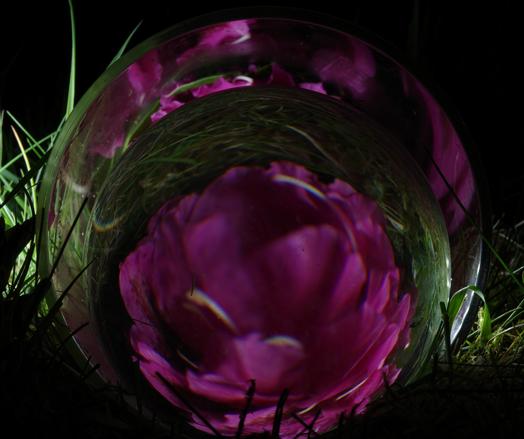 A pink rhododendron umbel in a glass cylinder without bases on a meadow.
A sphere with a slightly smaller diameter was placed in front of it, causing a distorted point reflection of the umbel and the meadow. The umbel is reflected in the cylinder also.