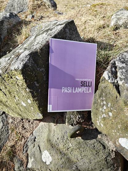 Kuvassa Selli-kirja kuvattuna vinossa olevien kiviaidan kivien välissä.
