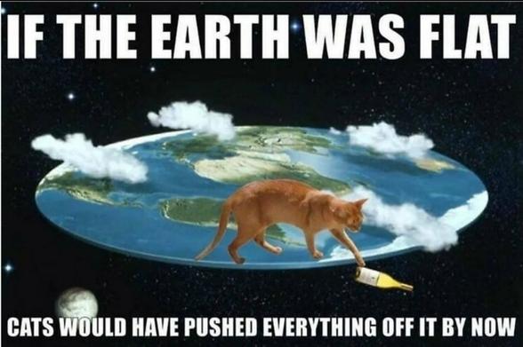 Meme showing a flat idea of Eartg, with a cat pushing a bottle over the edge of it. Text reads, "If the Earth was flat, cats would have pushed everything off of it by now."
