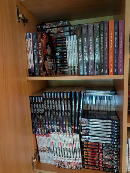 Das Bild zeigt ein Bücherregal aus hellem Holz, das zwei Regale enthält. Auf dem oberen Regal sind mehrere Bücher und Manga-Bände aufgereiht. Die Bücher sind hauptsächlich in dunklen Farben gehalten und tragen Titel wie "The Beginning After the End" und "World After Fall". Auf dem unteren Regal befinden sich ebenfalls Manga-Bände, darunter "The Advanced Player of the Tutorial Tower" und "Re:Monster". Die Manga-Bände sind in verschiedenen Farben und Designs, und einige sind in Reihe nummeriert. Die Bücher und Manga-Bände sind ordentlich aufgereiht, was auf eine sorgfältige Organisation hinweist.