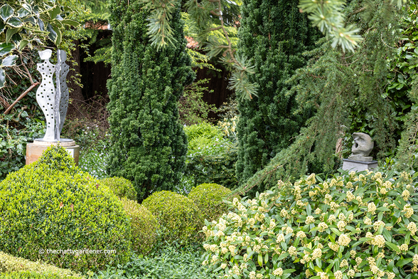 Clipped buxus topiary, flowering skimmia and fastigiate yew with metal and stone sculptures.