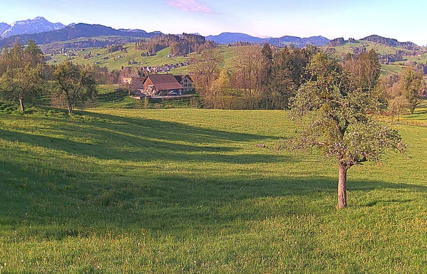Morgenlicht über grünen Wiesen. Berge hinten. Bauernhof dazwischen.