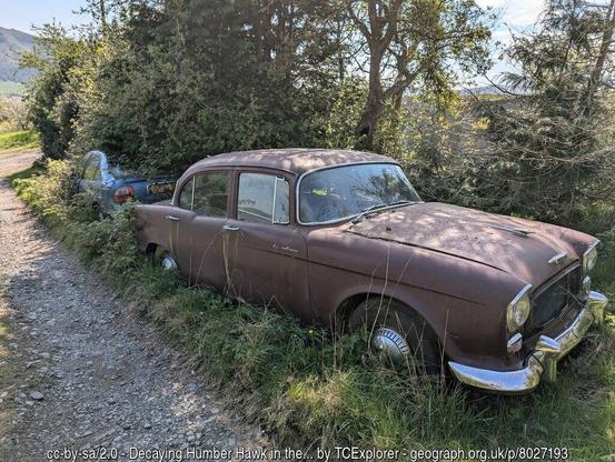 A dusty car ina hedgerow